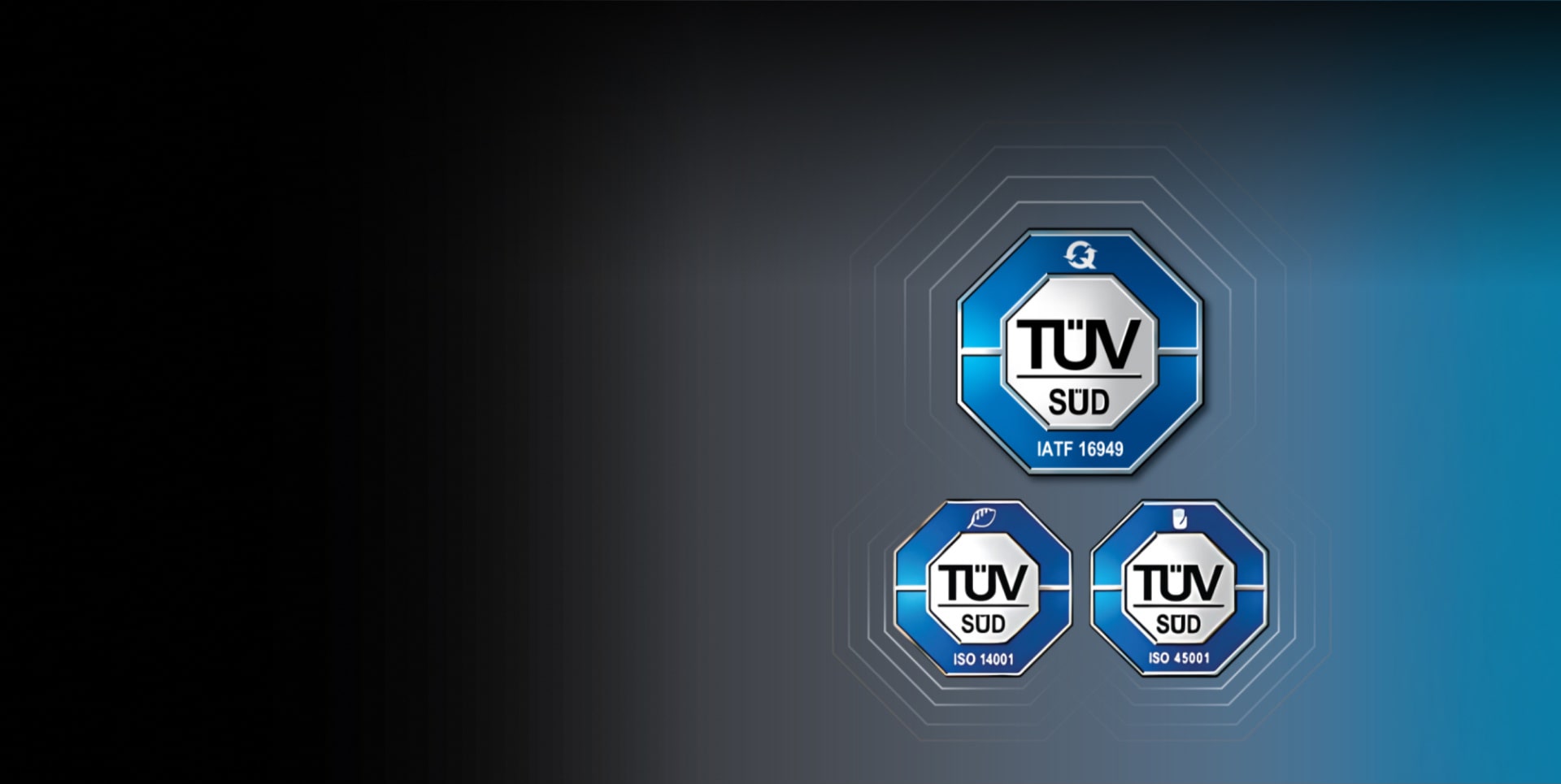 Leader in EV Quality  